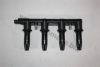 AUTOMEGA 1012080086 Ignition Coil